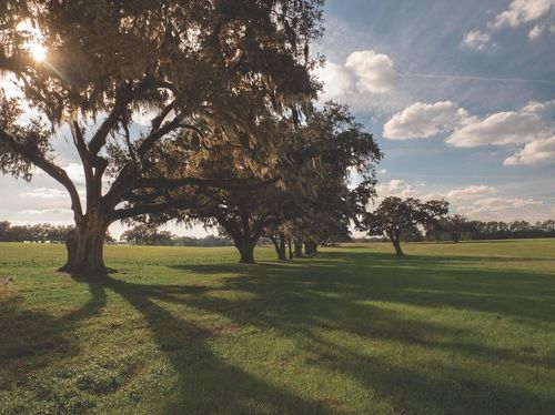 TBD Nw Gainesville Rd, Reddick, FL, 32686 | Card Image