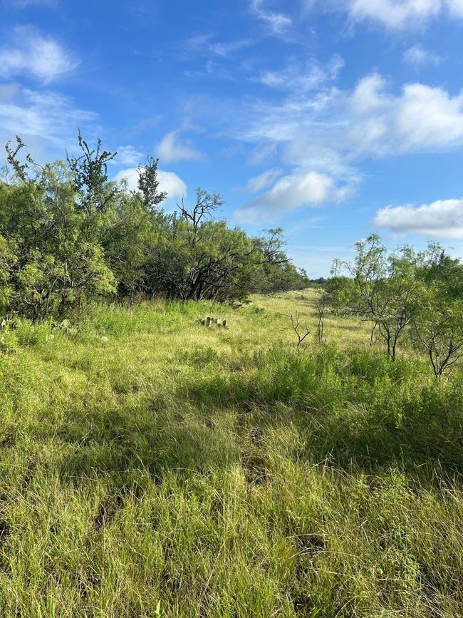 Westerly View of Proposed Lane to Property | Image 8