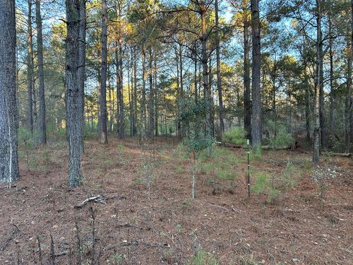 Lot 13 Dale Lane, Quitman, GA, 31643 | Card Image