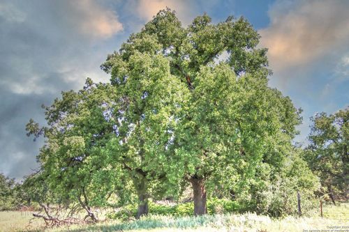 TBD Ranch Road 1323, Willow City, TX, 78675 | Card Image