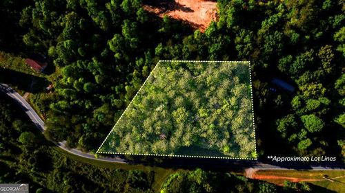 TR 3 W Gum Log Rd, Warne, NC, 28909 | Card Image