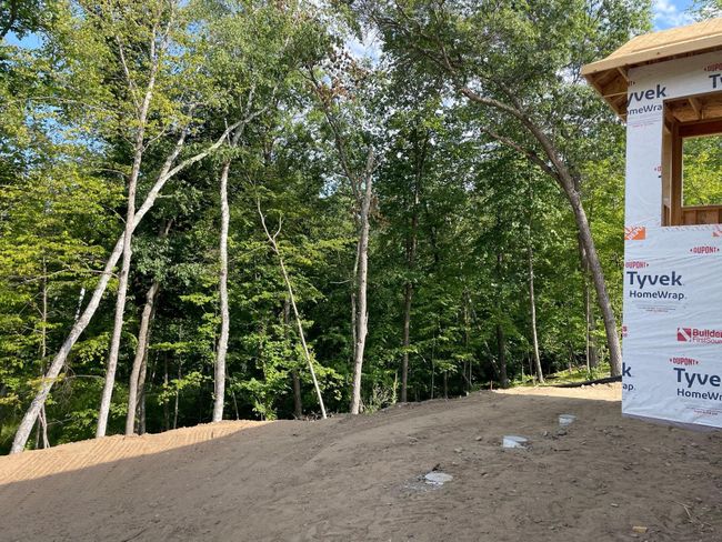 back yard.jpg | Image 21