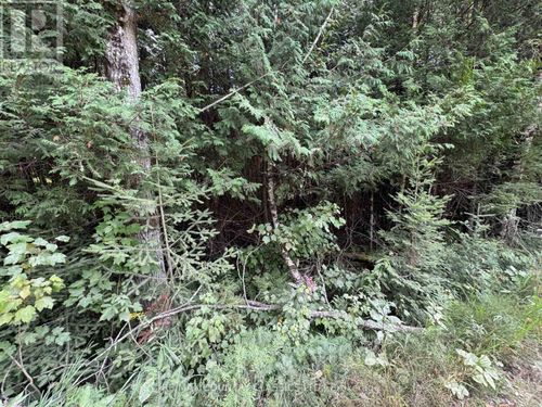 0 Schimmens Rd, Palmer Rapids, ON, K0J2E0 | Card Image