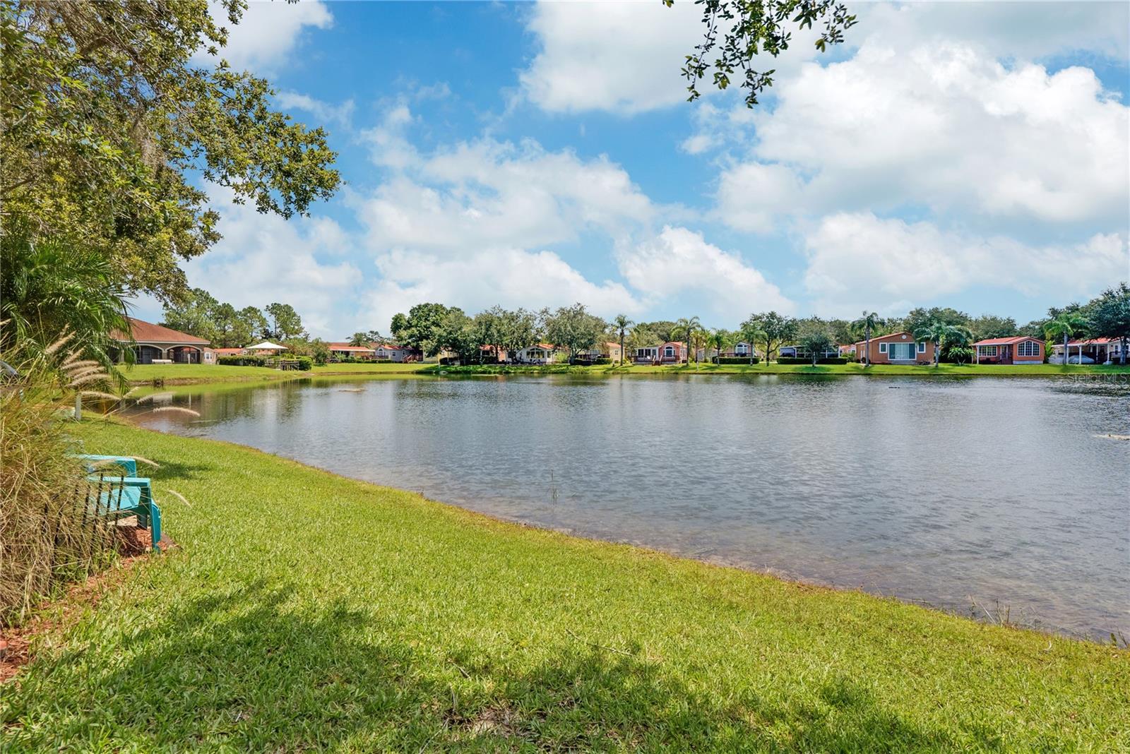 Bonita Vista Ct, Land O Lakes, FL 34637