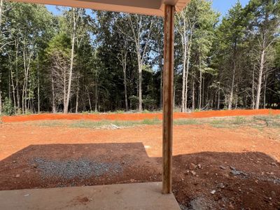 Beautiful tree lined backyard! | Image 3