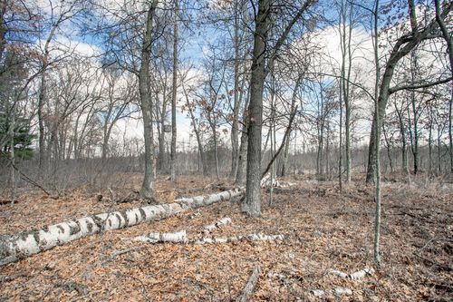 TBD Owl Lake, Siren, WI, 54872 | Card Image