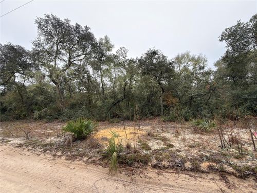 Tbd Ne 234th Pl, Fort Mc Coy, FL, 32134 | Card Image