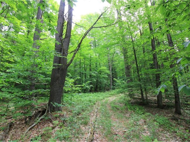 Lot 4 Piney Grove Ln, Home with 0 bedrooms, 0 bathrooms and null parking in Underhill VT | Image 16