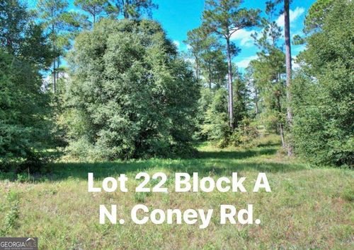 TBD Coney Rd S, Cordele, GA, 31015 | Card Image