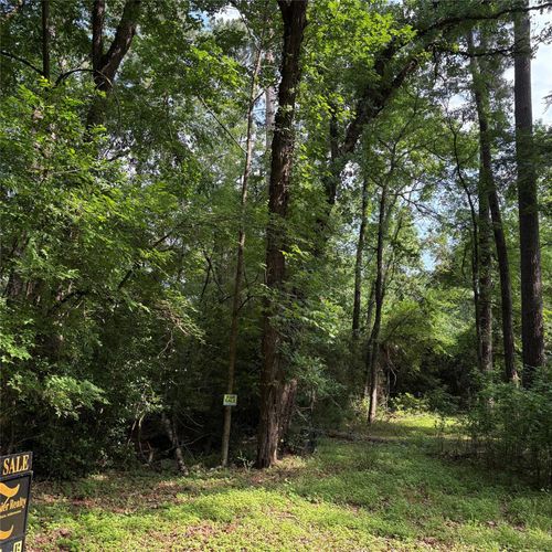 00 Canvasback Dr, Trinity, TX, 75862 | Card Image