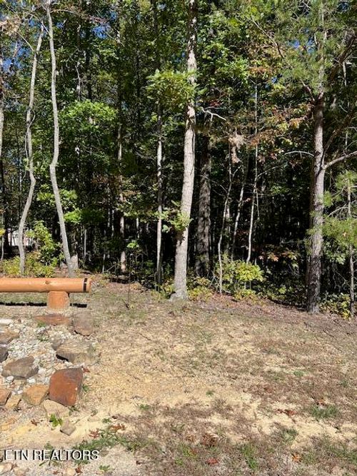 89 Slack Pl, Monterey, TN, 38574 | Card Image