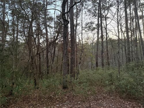 94 Green Tree Dr, Coldspring, TX, 77331-1716 | Card Image