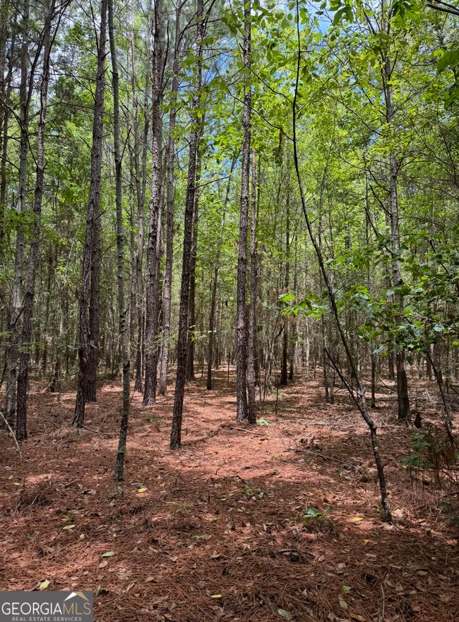 0 Tobias Rd, Home with 0 bedrooms, 0 bathrooms and null parking in Sardis GA | Image 18
