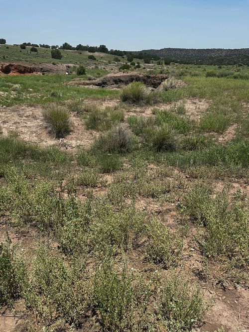 1 Airport Fld, Quemado, NM, 87829 | Card Image