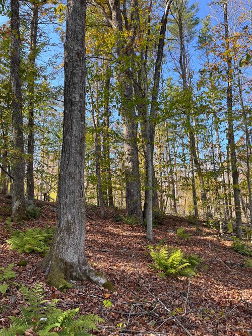 Map 227 Lot 007 Underwood Road, Acworth, NH, 03601 | Card Image