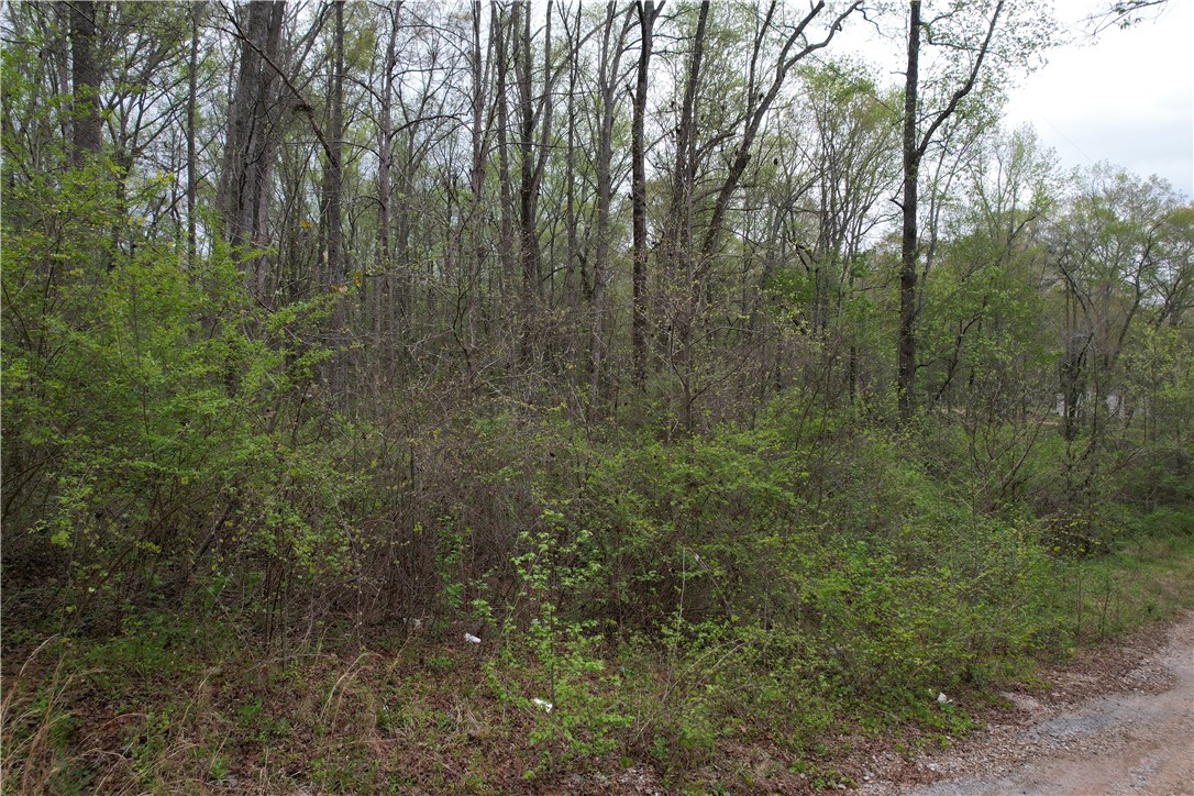 Land in Anderson 3