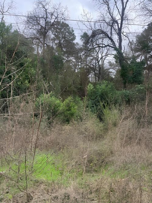 22781 Dogwood Trl, Flint, TX, 75762 | Card Image