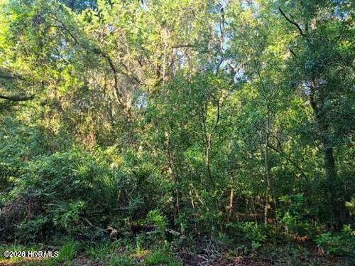 54 Fort Holmes Trl, Bald Head Island, NC, 28461-5053 | Card Image