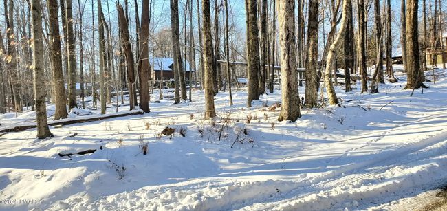 Lot | Image 6