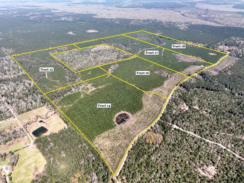 00000 County Road 4415, Spurger, TX, 77660 | Card Image