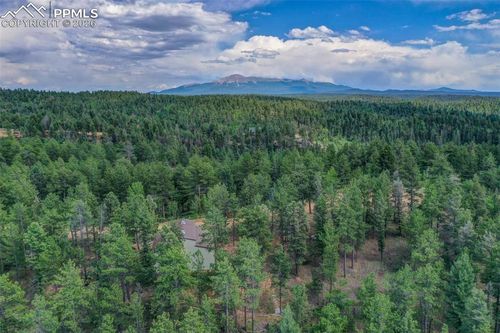 449 Woody Creek Road, Florissant, CO, 80816 | Card Image