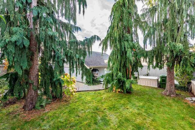 View of yard | Image 7