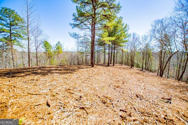 0 County Road 269, Home with 0 bedrooms, 0 bathrooms and null parking in Wedowee AL | Image 12