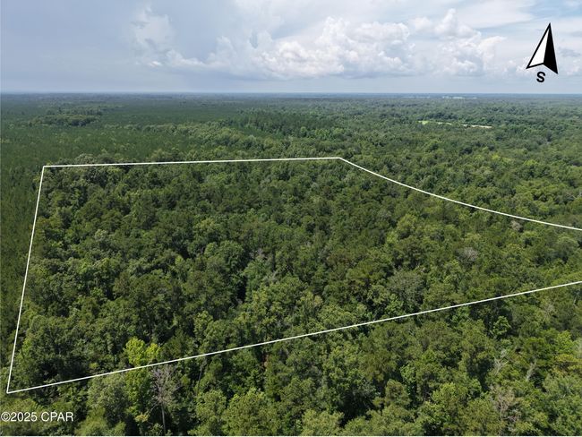 0 River Rd. Road, Home with 0 bedrooms, 0 bathrooms and null parking in Bascom FL | Image 4