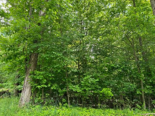 425 Lakeview Ln, Cochranton, PA, 16314 | Card Image