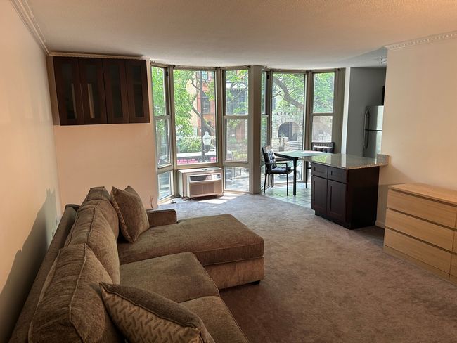 APT-2C - 1340 Dearborn St, Condo with 0 bedrooms, 1 bathrooms and null parking in CHICAGO IL | Image 6