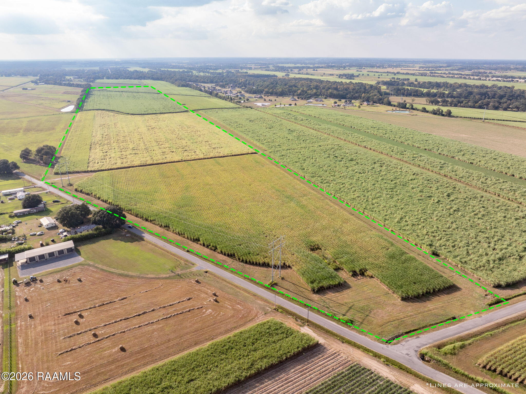 Land in Abbeville 5