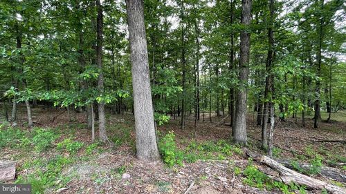 LOTS 47-48-49 Bristol Court, SLANESVILLE, WV, 25444 | Card Image