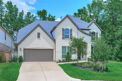 237 Patina Sorrel Dr, Montgomery, TX, 77316-2869 | Card Image