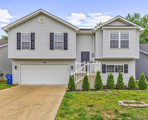 123 Doctrine Dr, Festus, MO, 63028-1182 | Card Image