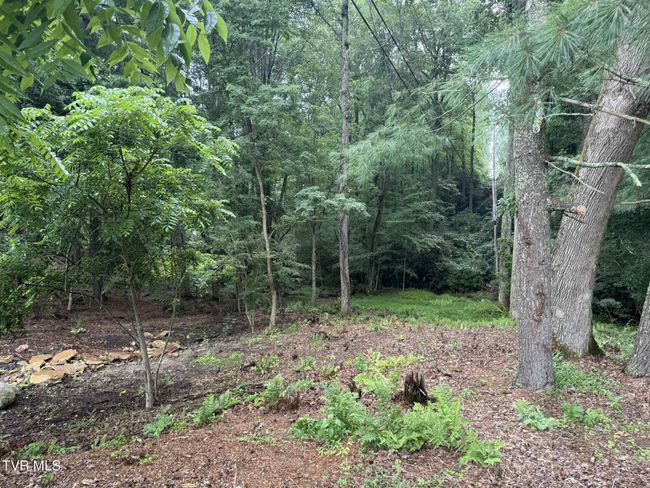 2818 Dungannon Rd, House other with 3 bedrooms, 2 bathrooms and null parking in Coeburn VA | Image 58