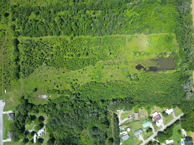 14 Acres Beaver Creek Rd, Home with 0 bedrooms, 0 bathrooms and null parking in Laceys Spring AL | Image 19