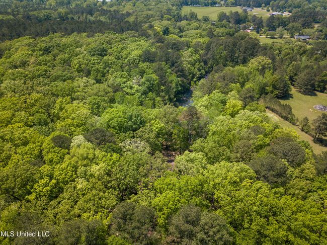 DJI_0510 | Image 31