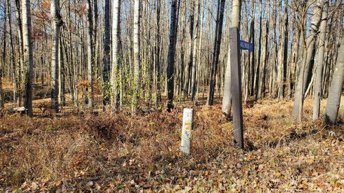 8122 Highland Trl, Stanwood, MI, 49346-8954 | Card Image