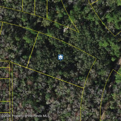 8748 W Elba Place, Homosassa, FL, 34448 | Card Image