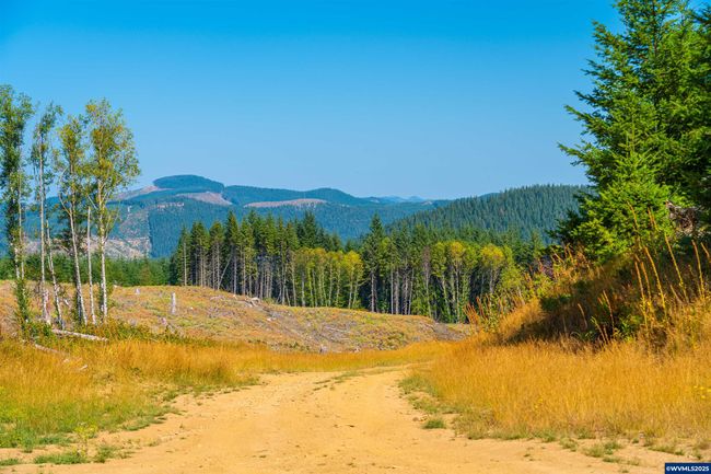 0 Bald Mountain Rd, Home with 0 bedrooms, 0 bathrooms and null parking in Beaver OR | Image 29