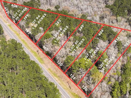 Lot 9C La Highway 42, Livingston, LA, 70754 | Card Image