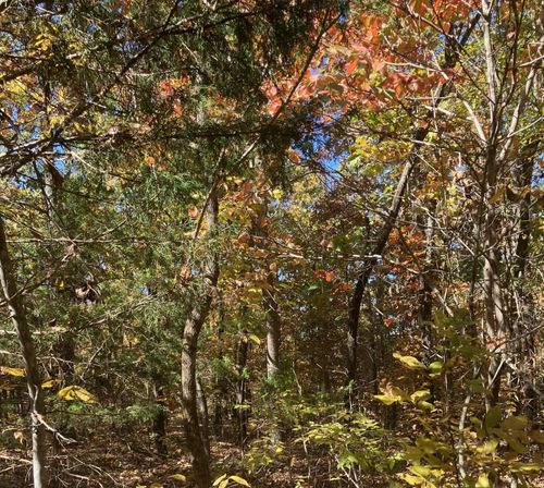 TBD Pinecrest Rd, Hardy, AR, 72542 | Card Image