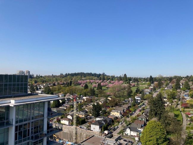 residential view | Image 16
