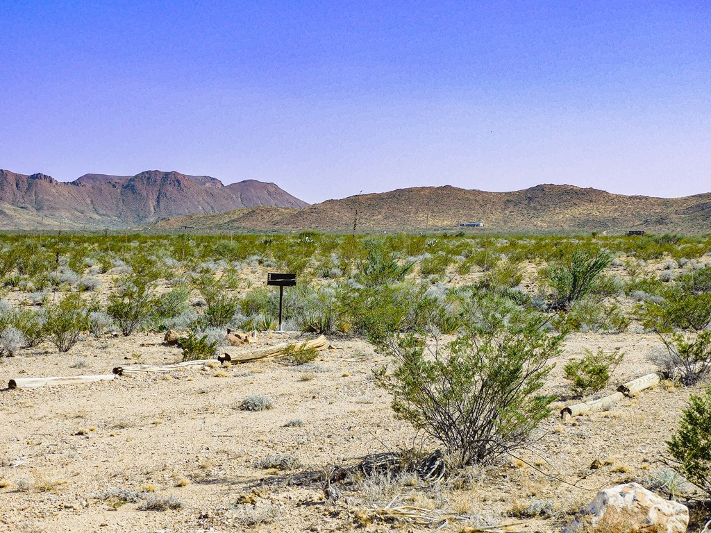 Land in Terlingua 4