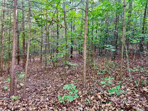 0 Goforth Rd, LANDRUM, SC, 29356 | Card Image