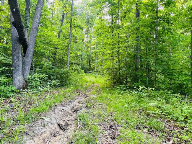 0 Laurel Rd, Home with 0 bedrooms, 0 bathrooms and null parking in Laurel IN | Image 8
