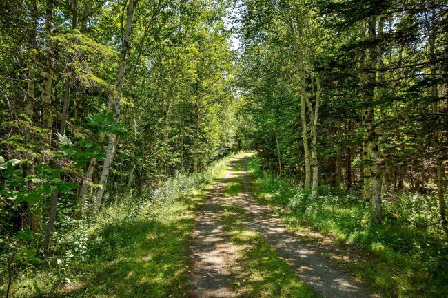 305 Militia Point Rd, House other with 2 bedrooms, 2 bathrooms and 2 parking in River Denys NS | Image 17