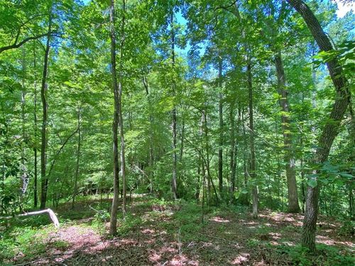 0 Hickory Nut Trl, Dahlonega, GA, 30533 | Card Image