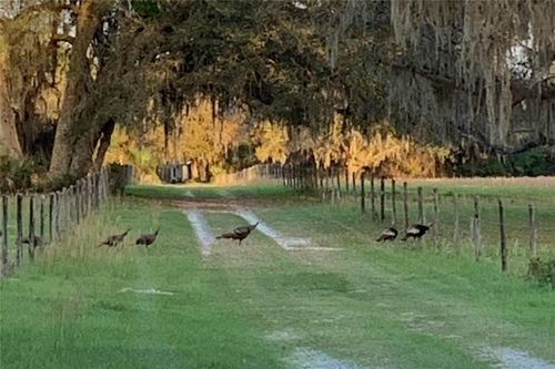 1360 S State Road 19, Palatka, FL, 32177-9006 | Card Image