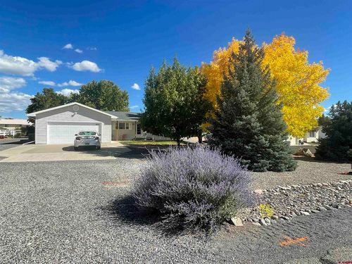 20622 Del Ray Dr, Eckert, CO, 81418-9808 | Card Image